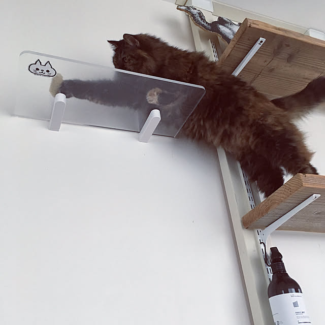 mikomaruさんの実例写真
