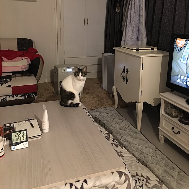 Shihoさんの実例写真