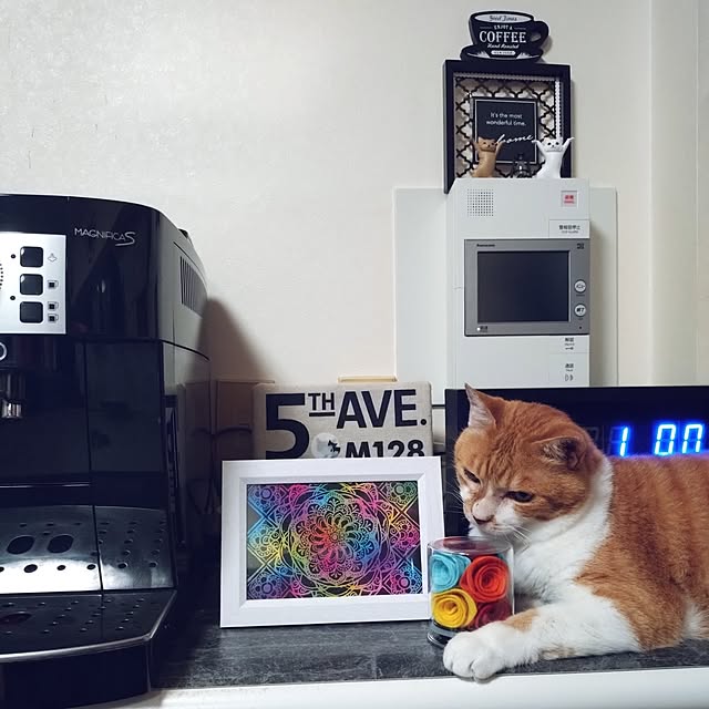 NOAHさんの部屋
