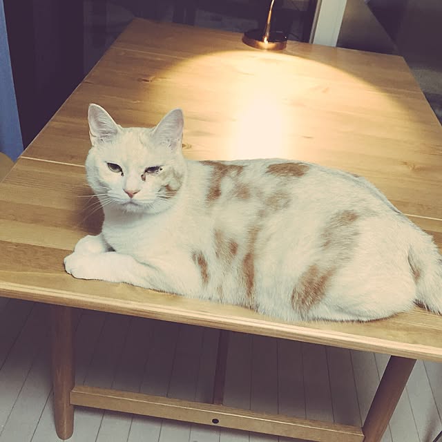 Hinaさんの実例写真