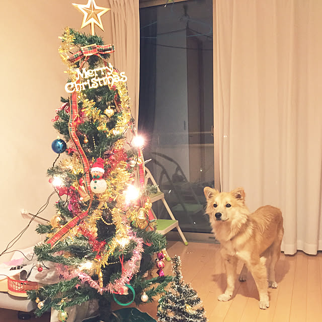 kaoriさんの実例写真