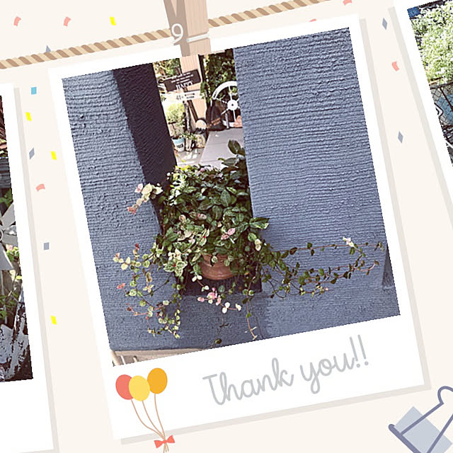tanomamaさんの実例写真