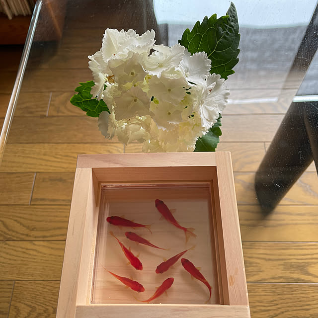 mamizaさんの部屋