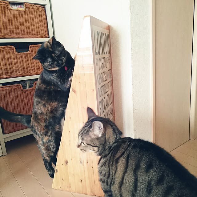 nanoさんの実例写真