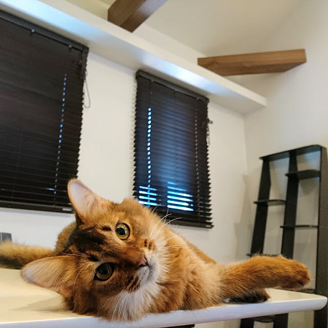 malmさんの実例写真