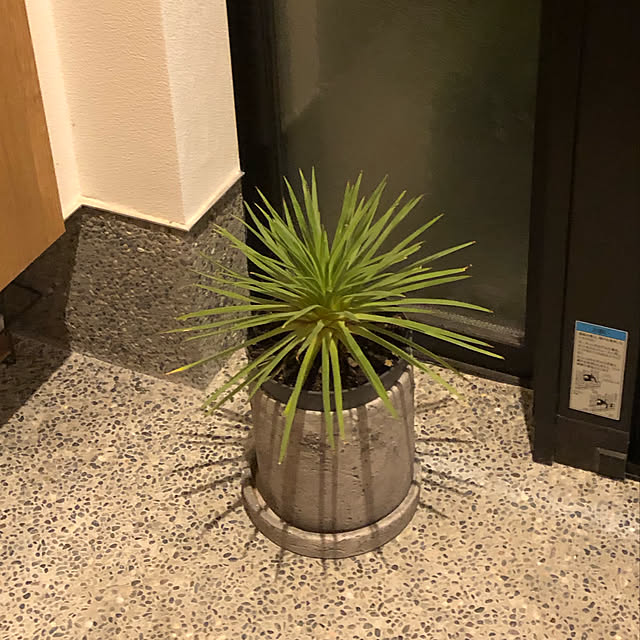 urotanさんの実例写真