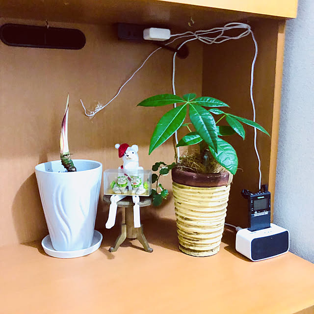 hanachanさんの部屋