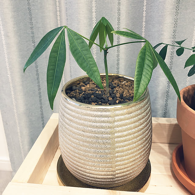 tomoさんの実例写真
