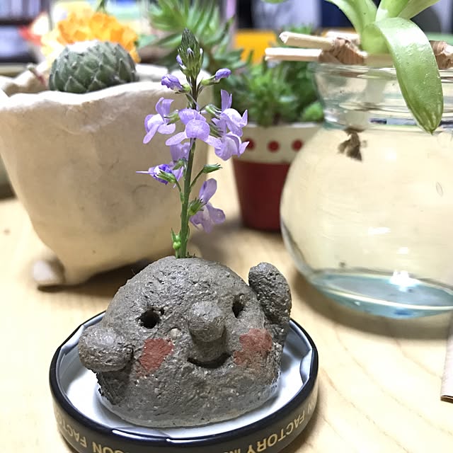 rankoさんの実例写真