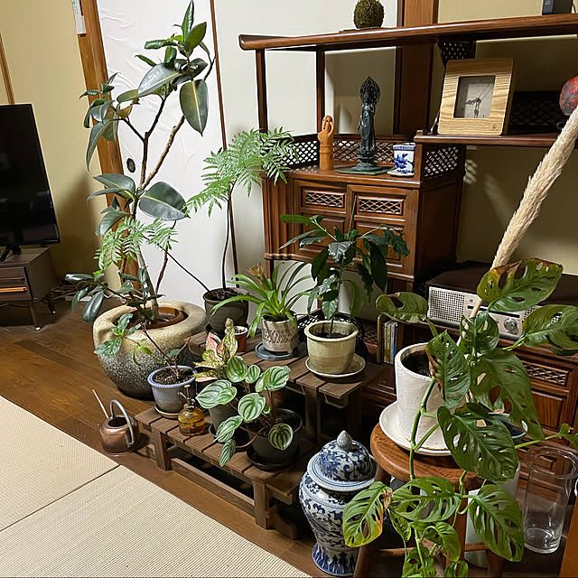 shin0719さんの実例写真