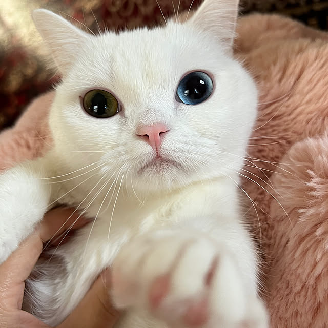 AYUKOさんの部屋