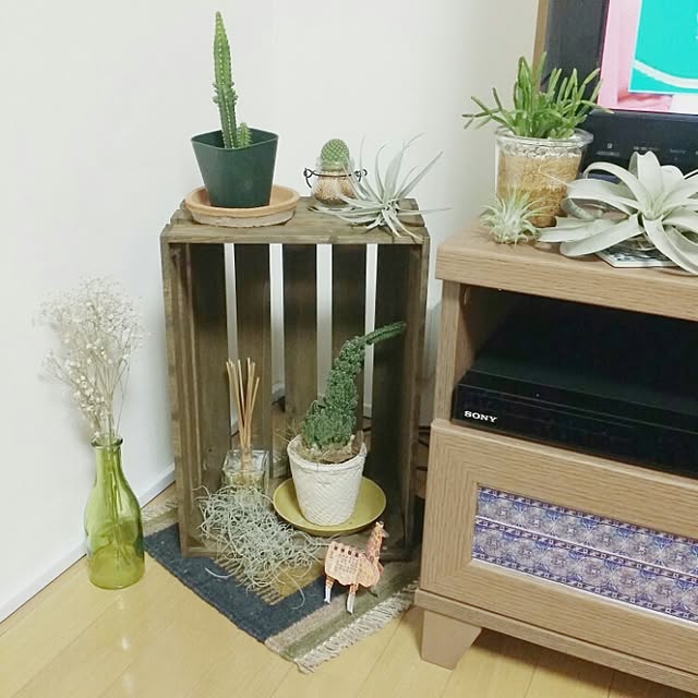 cccさんの実例写真