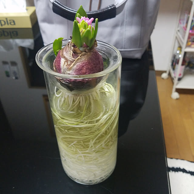 miyocoさんの実例写真