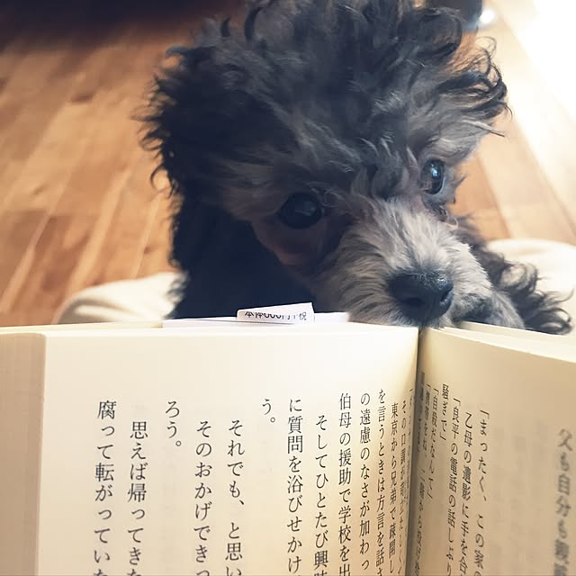 kuuさんの実例写真
