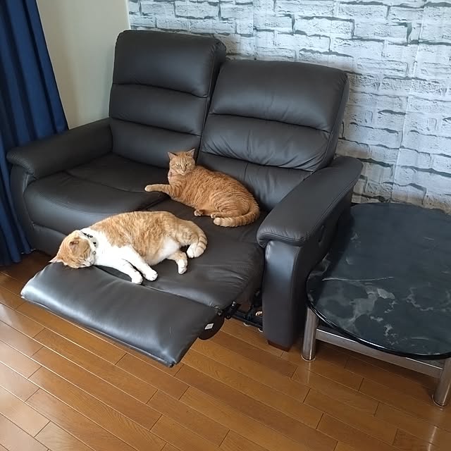 NOAHさんの部屋