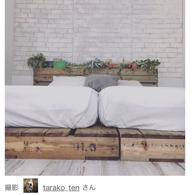 diez_taraさんの実例写真