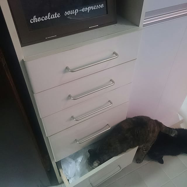 mademoisellenoaさんの実例写真