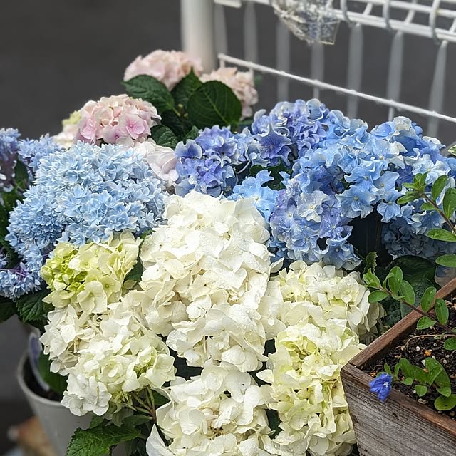 junさんの部屋