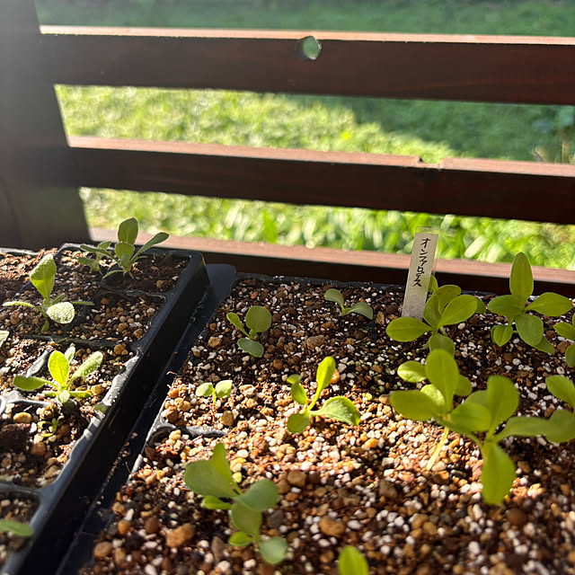 kyoko1124koさんの部屋