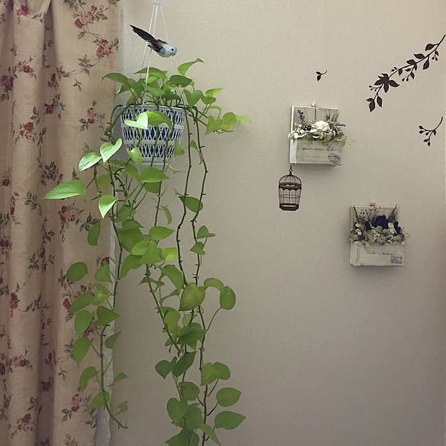 mayuminさんの実例写真