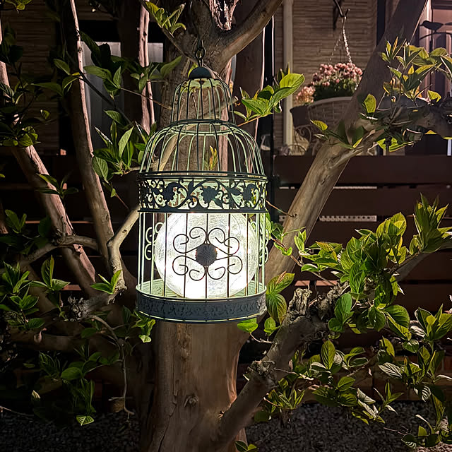 ronronさんの部屋