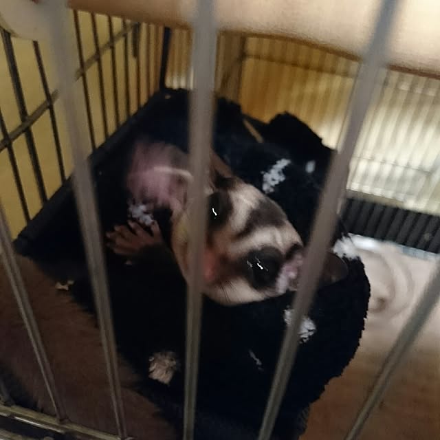 takuyaさんの実例写真
