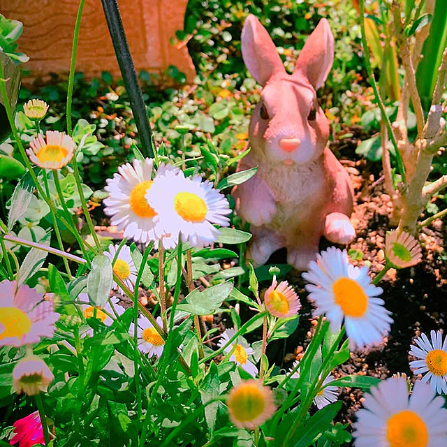 Newtypeさんの実例写真
