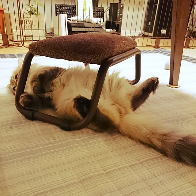 hanaさんの実例写真