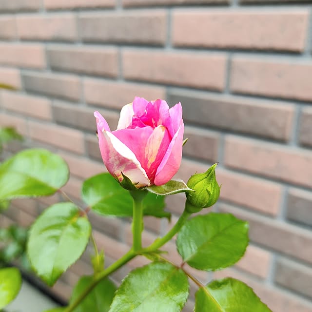 kiraさんの部屋