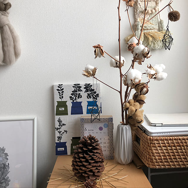 loliontoaliceveさんの実例写真
