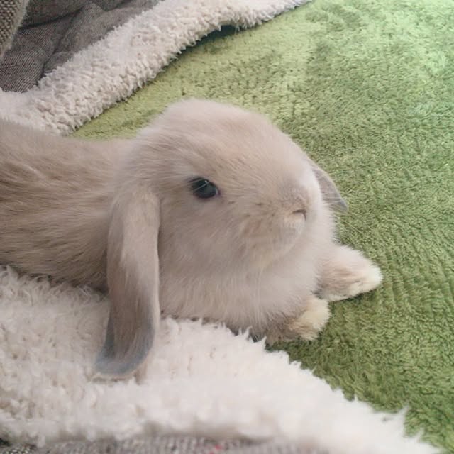 Youさんの実例写真