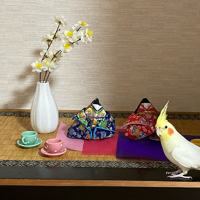 toratanさんの実例写真