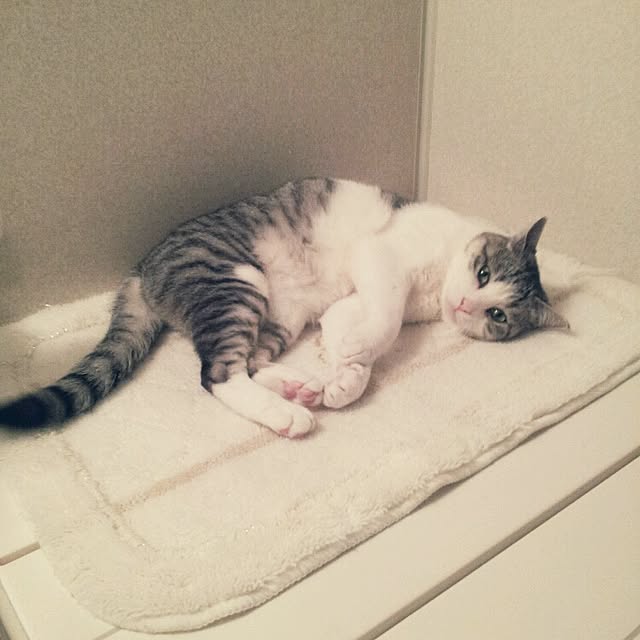 emmyyさんの実例写真