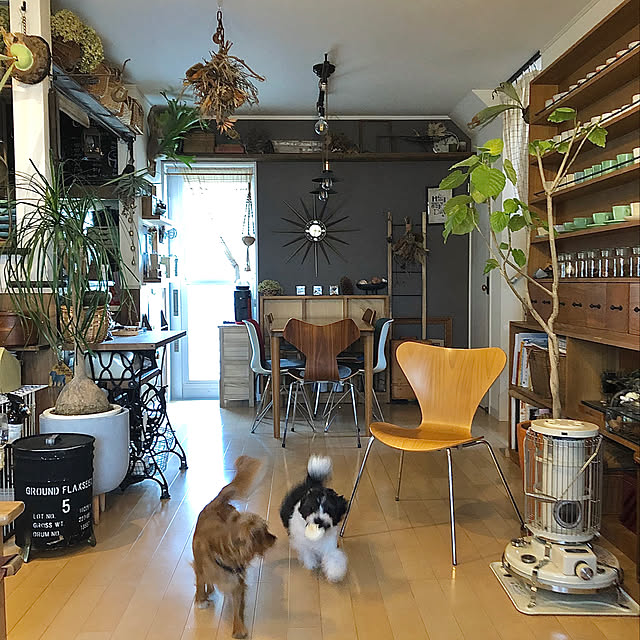 eriさんの実例写真