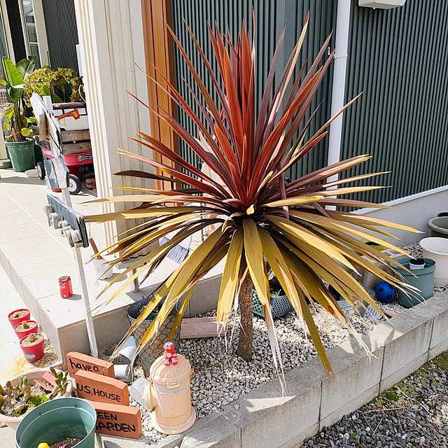 mowchanさんの実例写真