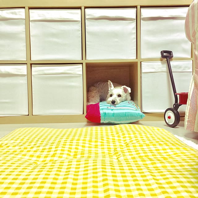 suzyさんの実例写真