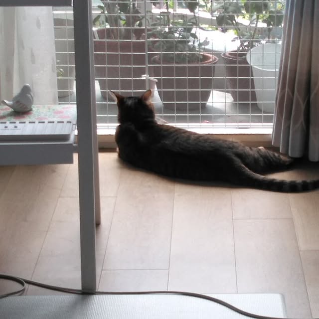 futukoさんの実例写真