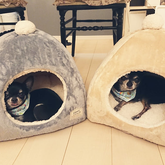 Bienvenueさんの実例写真