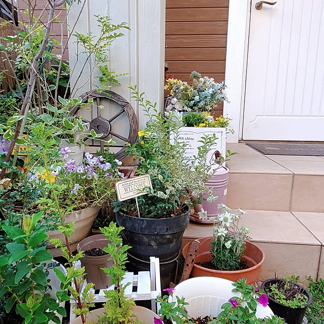 Blancheさんの部屋