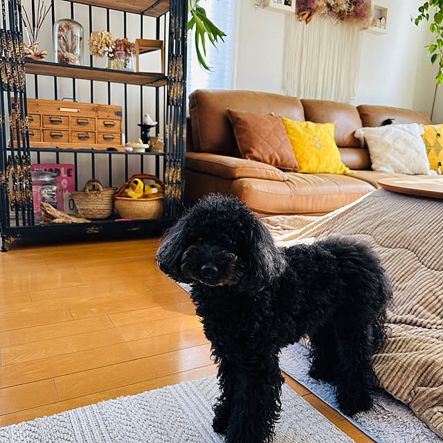 UNI.mamaさんの部屋