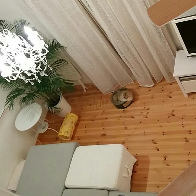 runaさんの実例写真