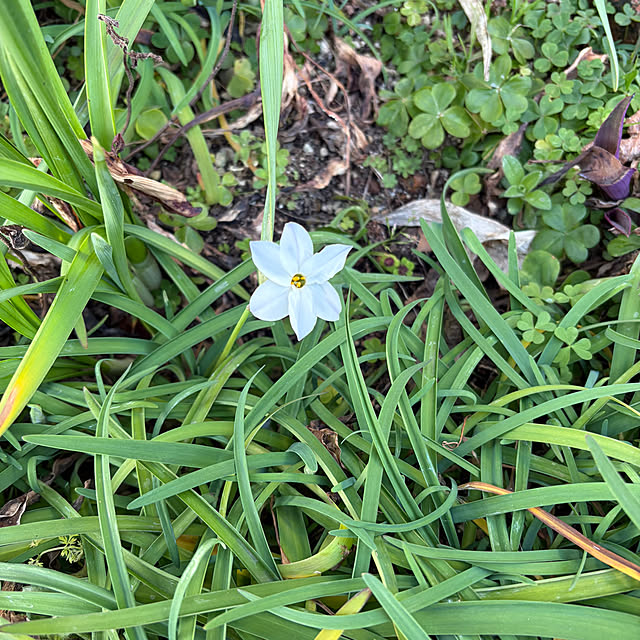 ritsukoさんの部屋