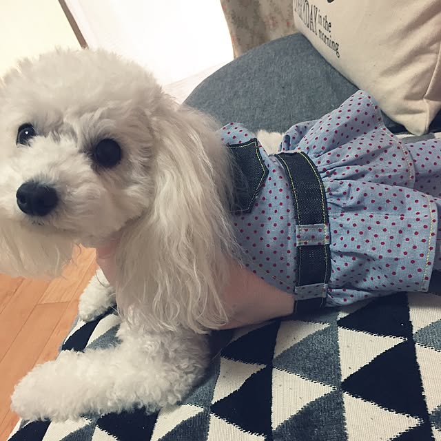 sei.hugさんの実例写真