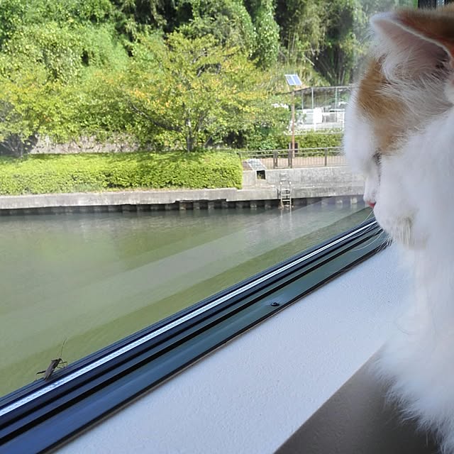 1ldksさんの実例写真