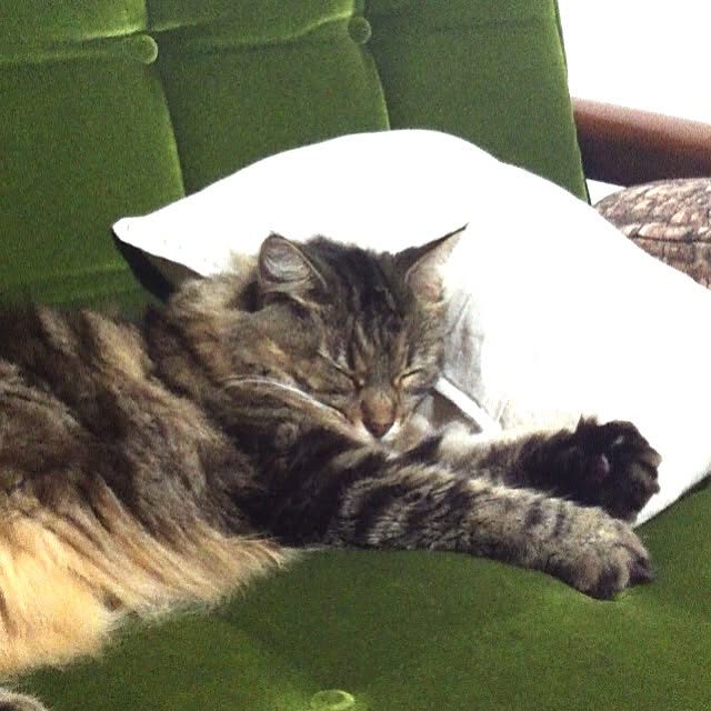 kkotnさんの実例写真