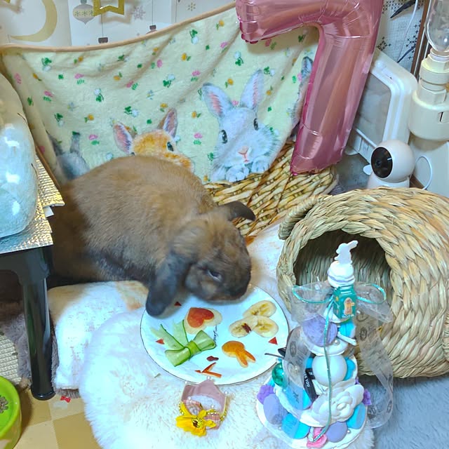 mariaさんの部屋