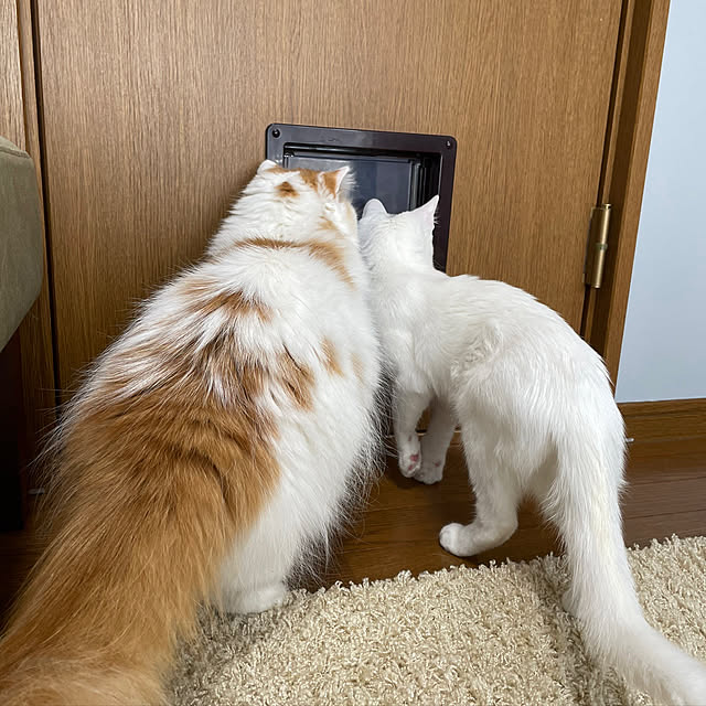 keiさんの実例写真