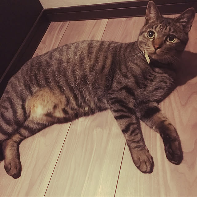 KANさんの実例写真
