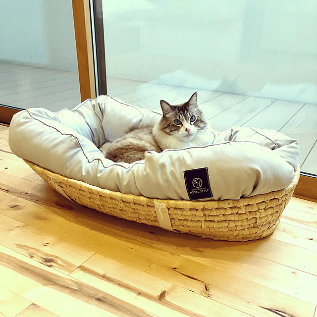 masyacanonさんの実例写真