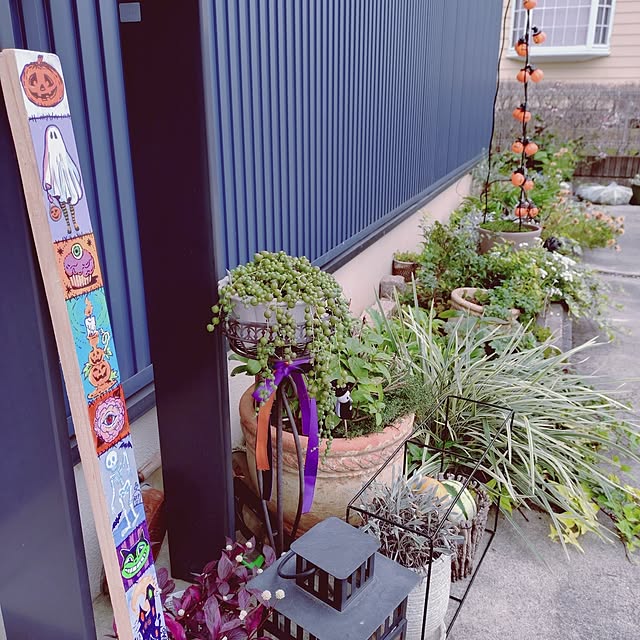 Motoziさんの部屋
